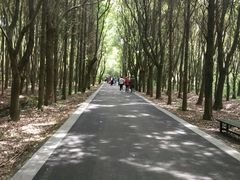 -同里国家湿地公园