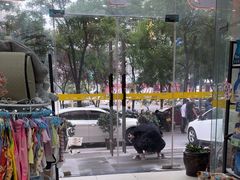 -米苏动物医院·犬猫专科·骨科外科内窥镜