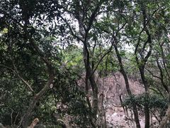 -火炉山森林公园