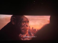 -武汉华夏国际影城(鲁广店)