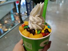 -Salud撒露欧洲冻酸奶(北苑上品店)