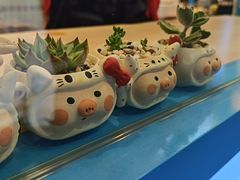-南京书画院金陵美术馆