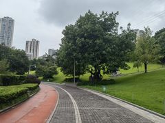 -龙头寺公园