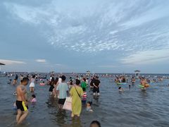 -碧海金沙