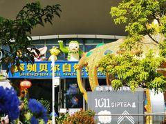 -盐说Salt Talk北美风味西餐厅(海上世界店)