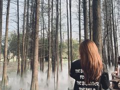 -东湖落雁景区