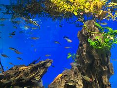 -太平洋海底世界