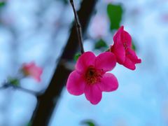 -重庆彩云湖湿地公园