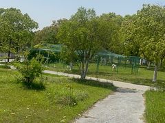-上海都市菜园