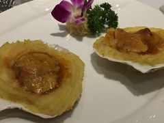 -哈布斯扒房(华发商都店)