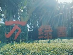 -万绿园