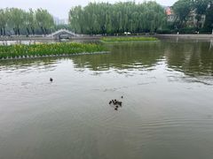 -中国农业博物馆
