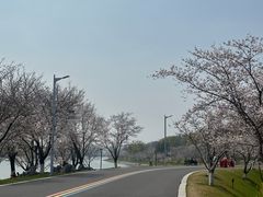 -羊山湖公园