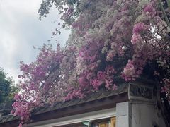 -深圳国际园林花卉博览园