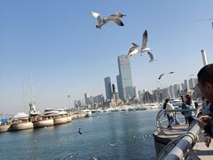 -东港音乐喷泉广场