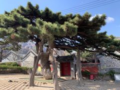 -阳台山自然风景区