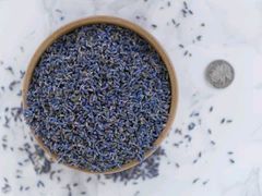 薰衣草茶-北京东方普罗旺斯薰衣草庄园