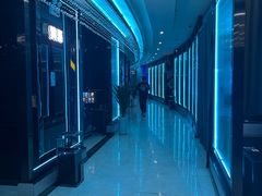 -绿树电竞(五路店)