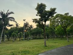 -万绿园