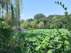 -扬州市茱萸湾风景区