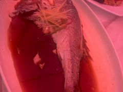 -马白开来特色羊排揪片子  (总店)