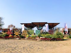 -上海长兴岛郊野公园