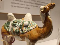 -深圳博物馆(古代艺术馆)