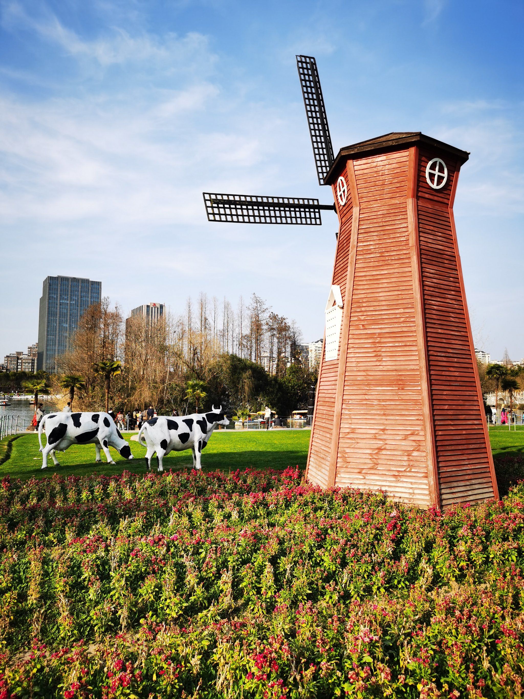 大宁公园的冬日暖阳