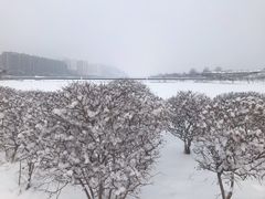 -门城湖公园
