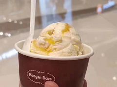 吃了一口的哈根达斯单球-哈根达斯(万象城店)