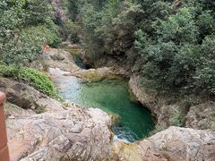 -南海湾森林生态园