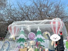 -沈阳奥体冰雪嘉年华