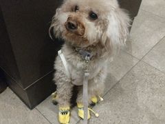 -星巴克(西安益田假日世界店)