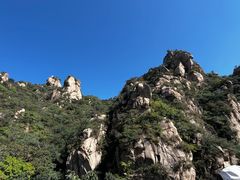 -大岭沟猕猴桃谷风景区