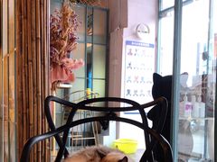 -喵屿·大理花园猫咖