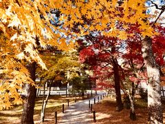 -清凉寺