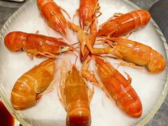 -红盔甲·小龙虾(崂山路店)