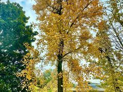 -西郊宾馆·1921餐厅