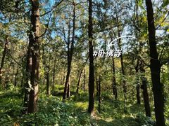 -国家植物园