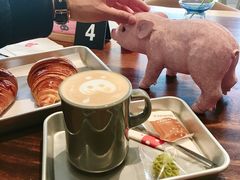 -WHEN PIGS FLY当猪飞