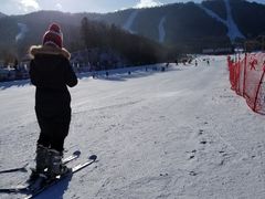 -亚布力新体委滑雪场