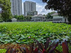 -荔湾湖公园