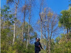 -青龙山国家森林公园