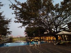 -喜洲吧·江畔老船厂·庭院餐厅(喜临院店)
