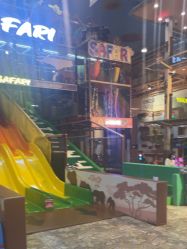 -卡通尼·Safari非洲探索乐园·生日会(金桥国际商业广场店)