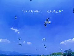 -海埂大坝
