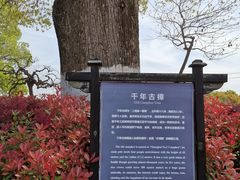 -韩湘水博园