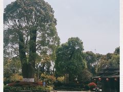 -韩湘水博园