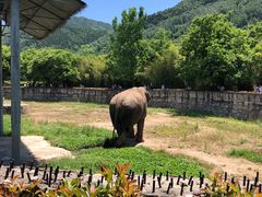 -西安秦岭野生动物园