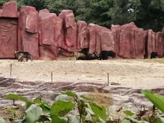 -沈阳森林动物园